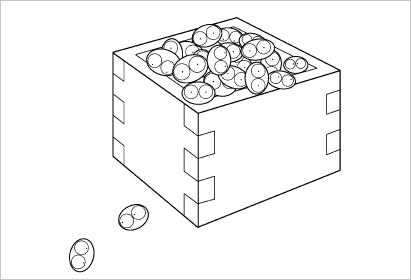 カメがマメ01