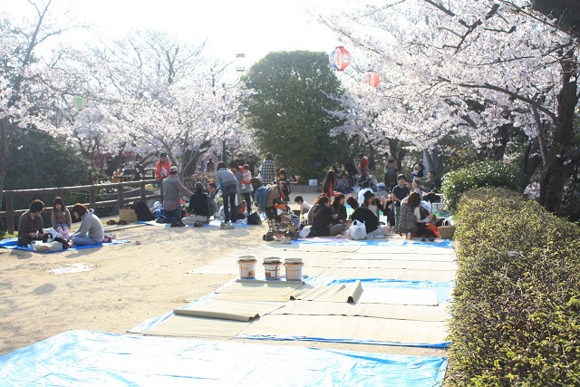 お花見客たち