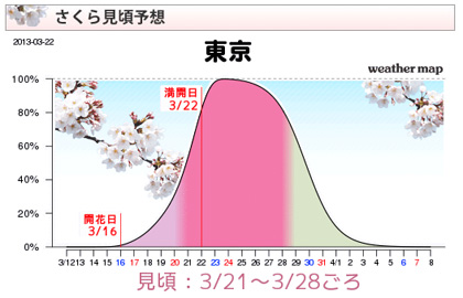 さくら満開予想