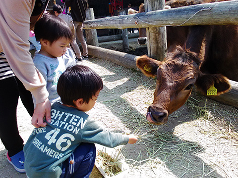 牧草をあげる子供たち