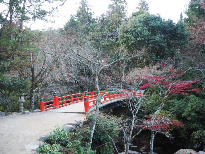 「紅葉谷公園」（2019年12月15日）