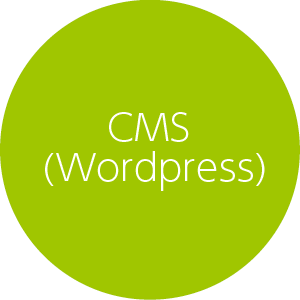 CMS(WordPress)